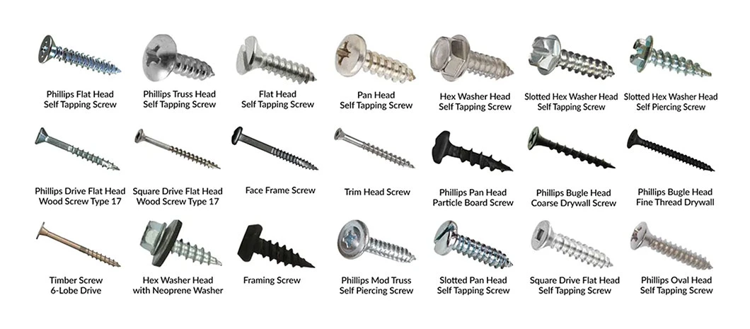 Carbon Steel Stainless Steel Hex Head Lag Screw DIN571 Wood Screws Machine Screws Tapping Screws Drilling Screws Drywall Screws Chipboard Screws Concrete Screws